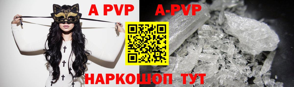 Альфа ПВП СК Сыктывкар