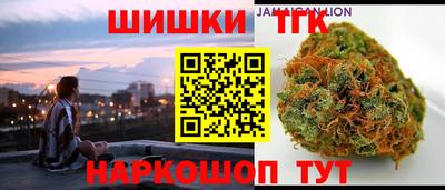 стаф Новодвинск