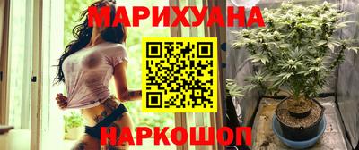 стаф Новодвинск