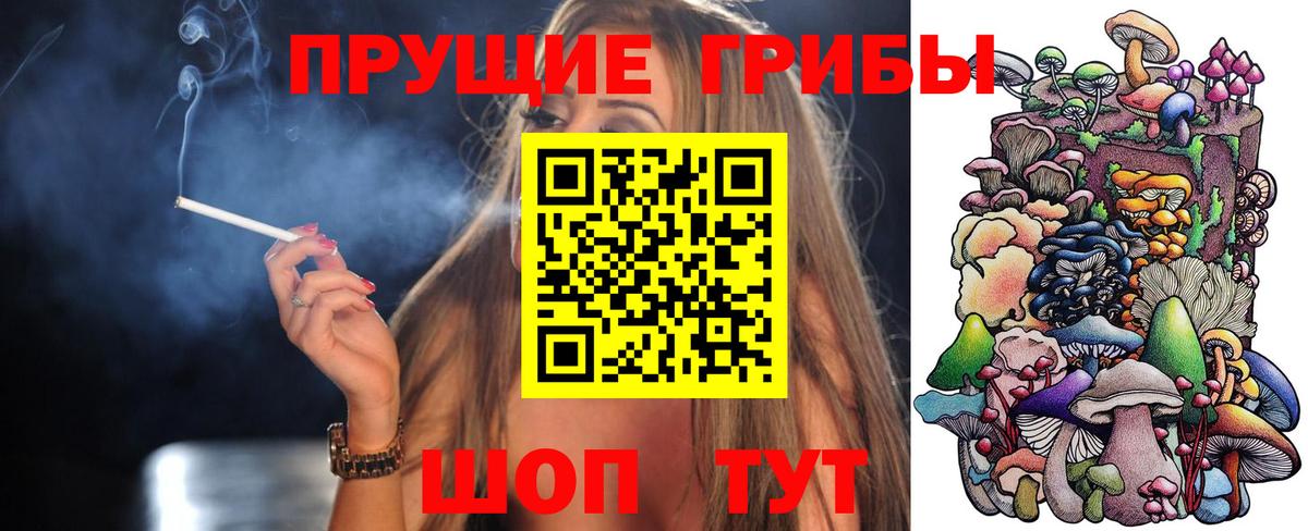 Псилоцибиновые грибы GOLDEN TEACHER Сыктывкар