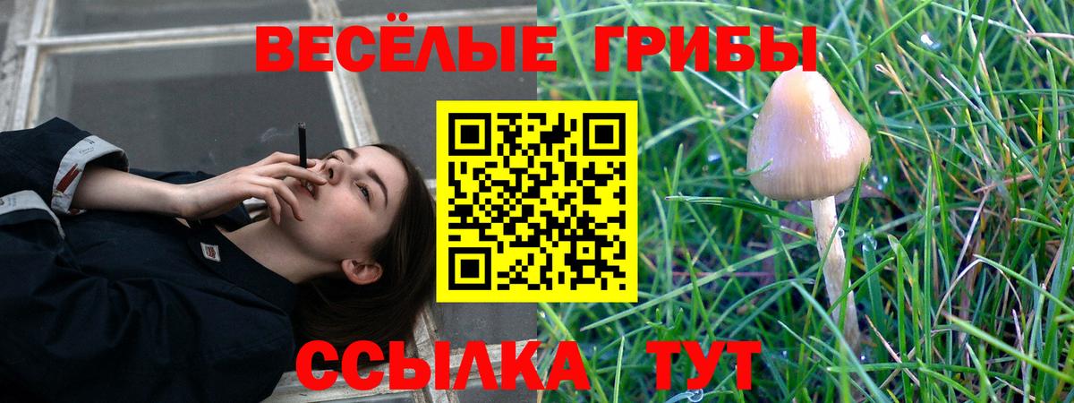 Галлюциногенные грибы MAGIC MUSHROOMS  Вход с VPN  Сыктывкар 
